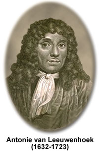 leeuwenhoek